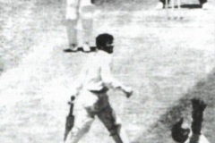 Majid-b-224