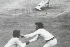 Majid-b-334