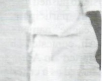 Majid-b-396